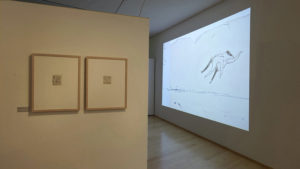 aline_projektion_1-900×507