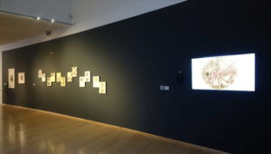 norbert_installation-900×509