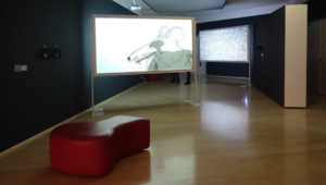 petra_installation-900×511